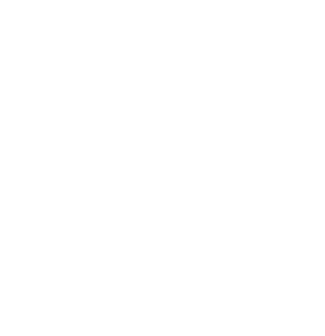 Icon_Webpage_ProductPage_KV_Phone_W