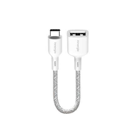 USB-C 對 USB-A 充電器 轉接線