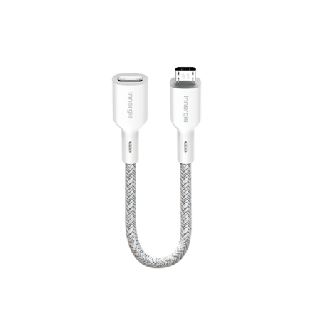 USB-C 充電線 對 Micro USB 轉接線